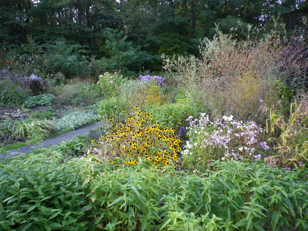 e0052716_15214452.jpg