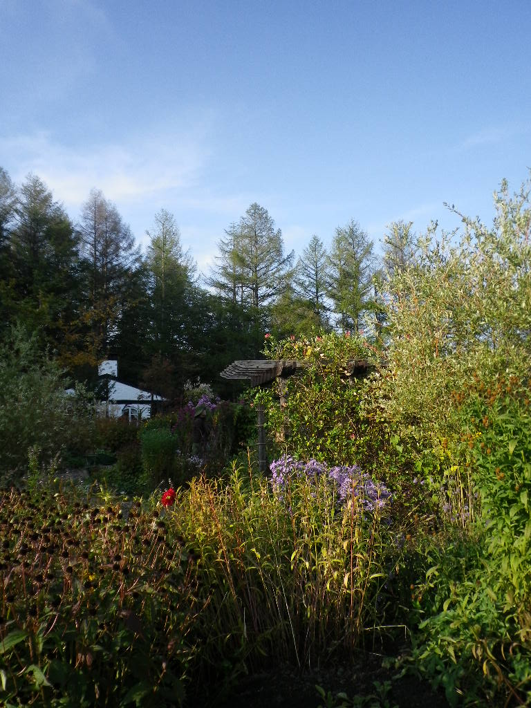 e0052716_1522242.jpg