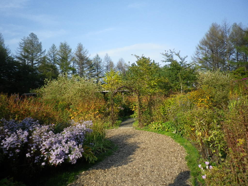 e0052716_15224412.jpg