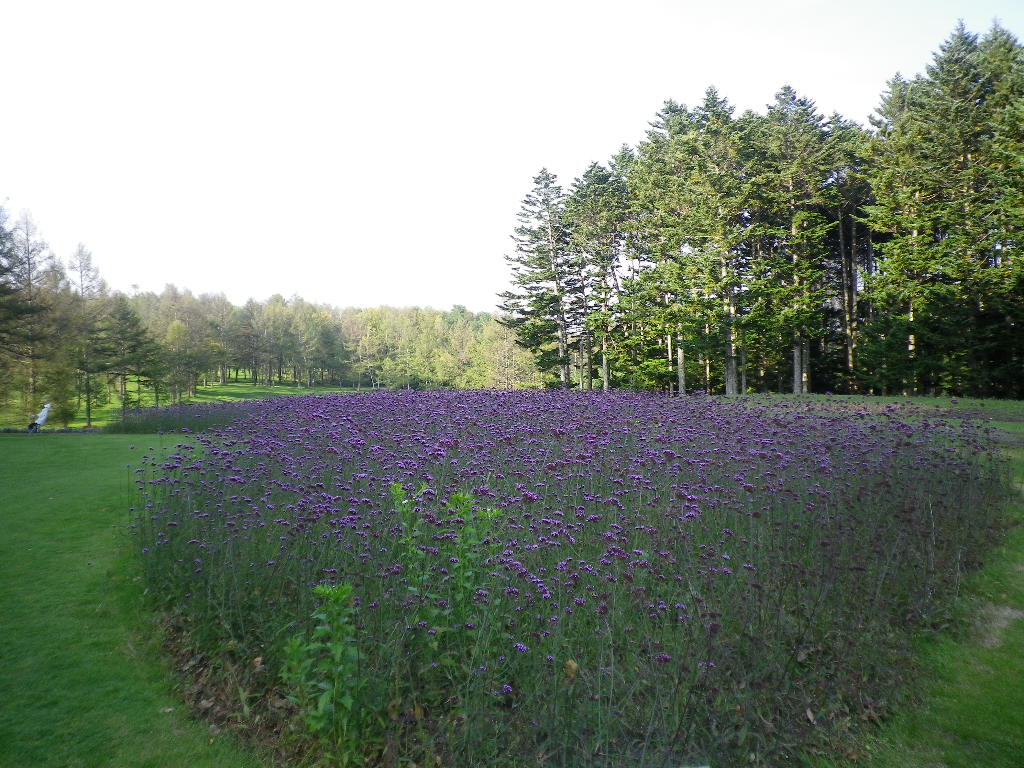 e0052716_15282262.jpg