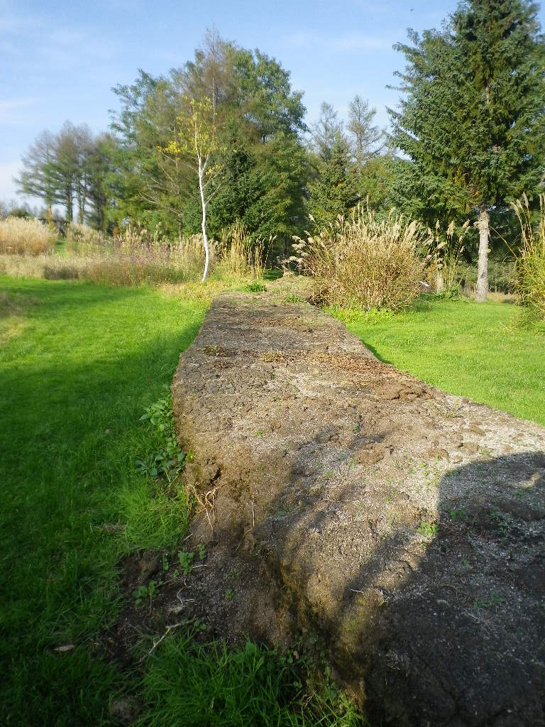e0052716_1528239.jpg