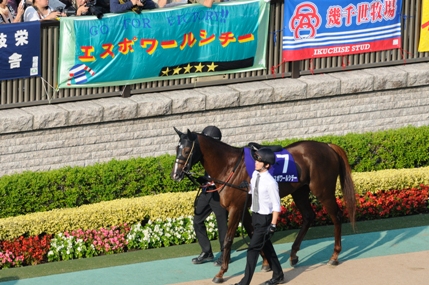 東京競馬場は晴れだが。。。。。。。。南部杯は雨_f0053218_23452381.jpg