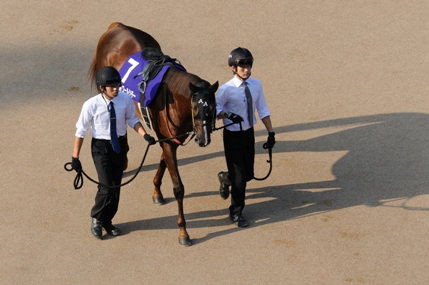 東京競馬場は晴れだが。。。。。。。。南部杯は雨_f0053218_2345342.jpg