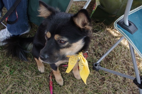 a0191121_0442550.jpg