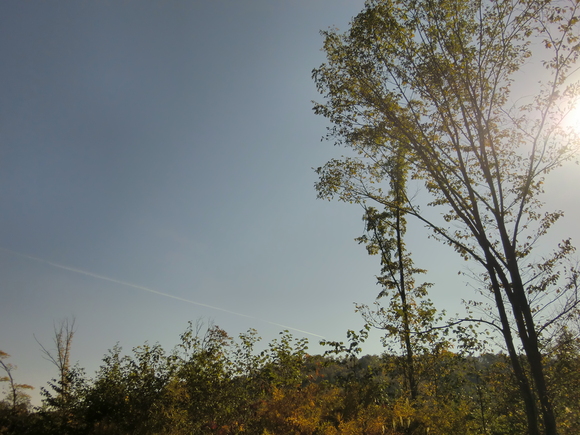 c0227522_1182611.jpg