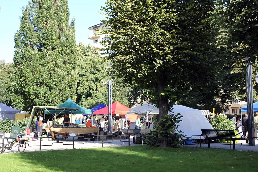 e0250023_825853.jpg