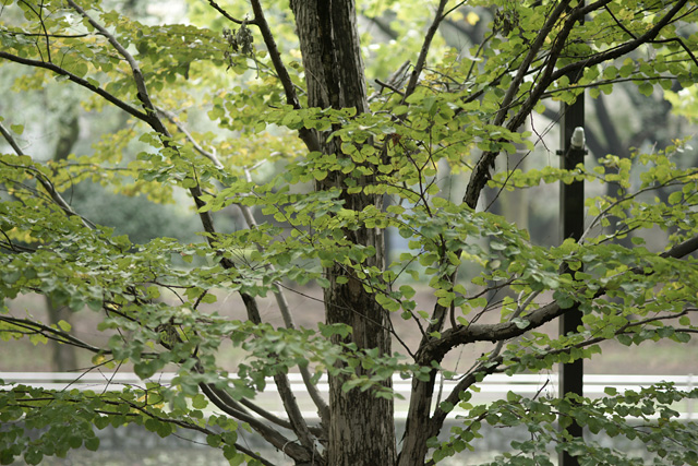 a0068424_1130218.jpg