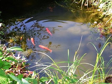 c0204725_00161.jpg
