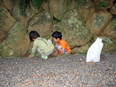 どんぐり拾い!_f0129726_22232530.jpg
