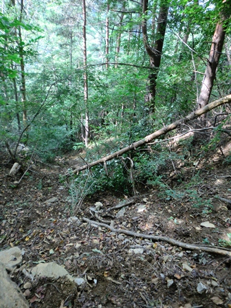 d0130927_1301938.jpg