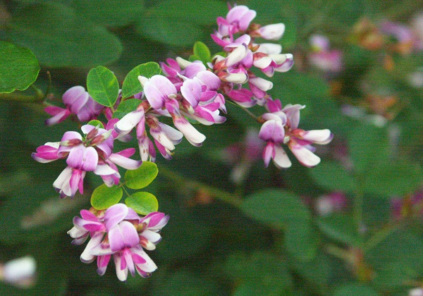 f0214527_10545542.jpg