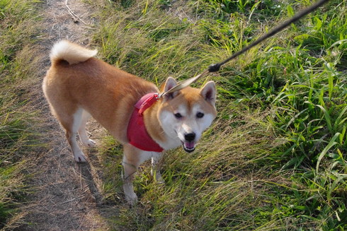 遠征散歩＠府中の森公園_a0185529_20274746.jpg