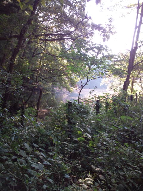 d0077029_22163098.jpg