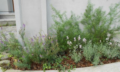 b0219830_10442457.jpg