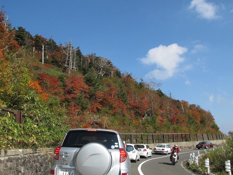 2011.10.09　チーズケーキ工房・カフェ　風花_e0202031_851619.jpg