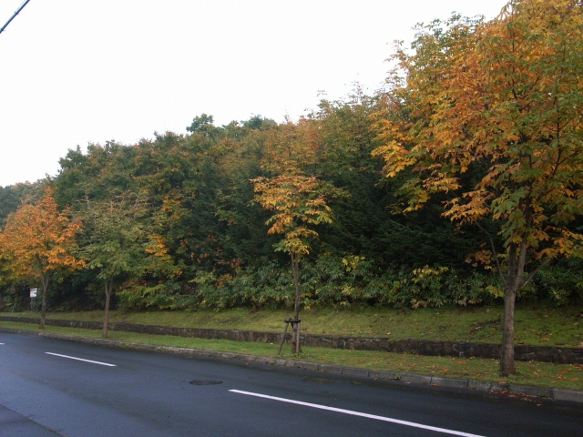 c0051132_21222443.jpg