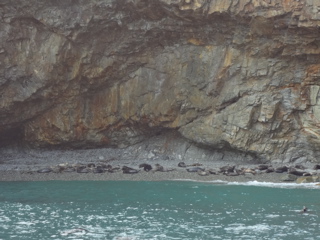 e0074833_14341621.jpg