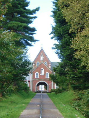 d0055236_028555.jpg
