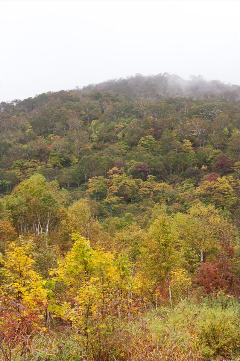 f0236843_98867.jpg