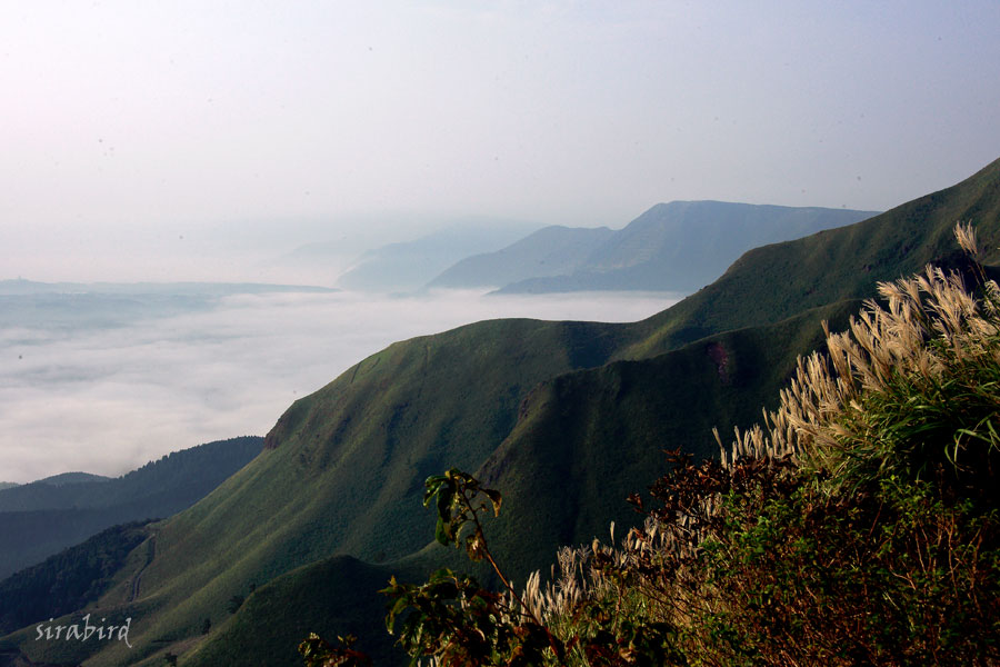 d0238245_1444073.jpg