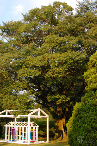 連休の植物園。_d0227246_20361715.jpg