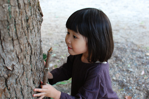 連休の植物園。_d0227246_20501346.jpg