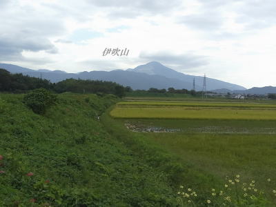 d0088348_17124999.jpg