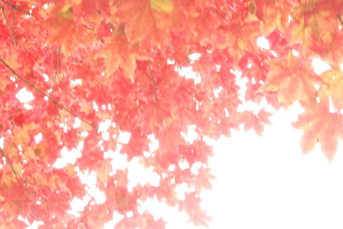 a0238350_22523095.jpg