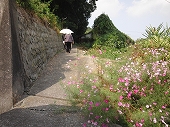 d0138650_23403347.jpg