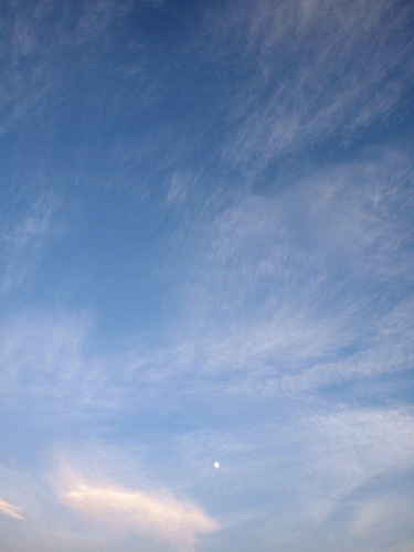 f0216353_2154859.jpg