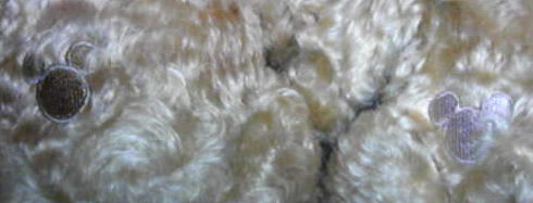 f0065954_2010596.jpg