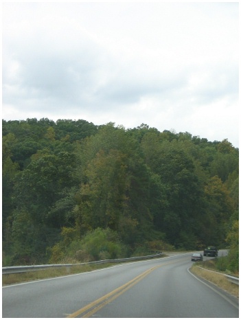 b0178155_115940.jpg