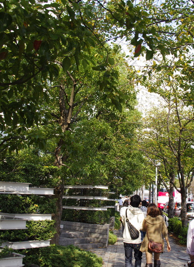 e0096955_15251721.jpg