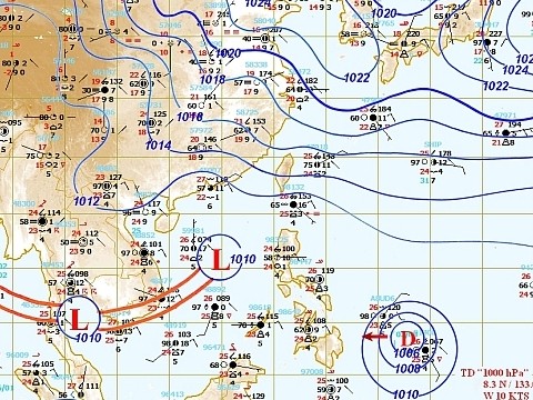 洪水 ；　パイナップル畑の除草 ；　「鯰」釣り ；　猫たち_c0105557_2034363.jpg