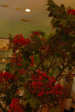 a0201358_17534078.jpg