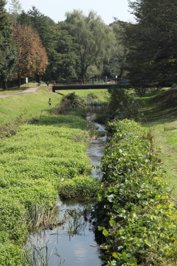 f0214858_16162663.jpg