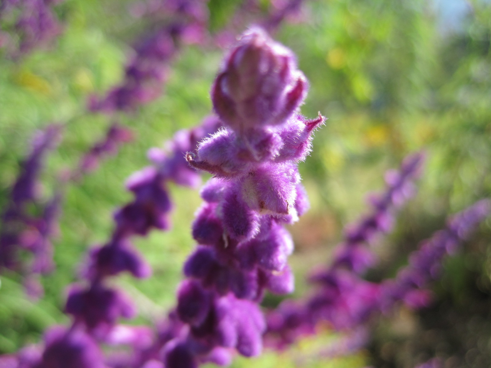 f0236260_12184810.jpg