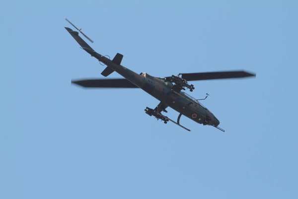 b0154361_085693.jpg