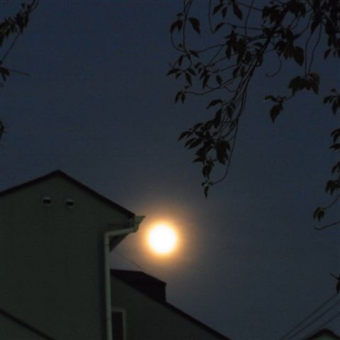 a0123465_23235254.jpg