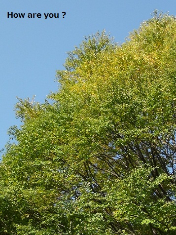 a0141366_21351279.jpg