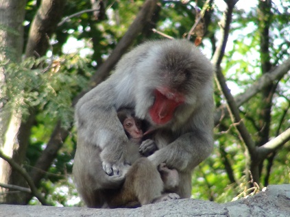 みんなで公園に行こう！_a0141366_2137089.jpg