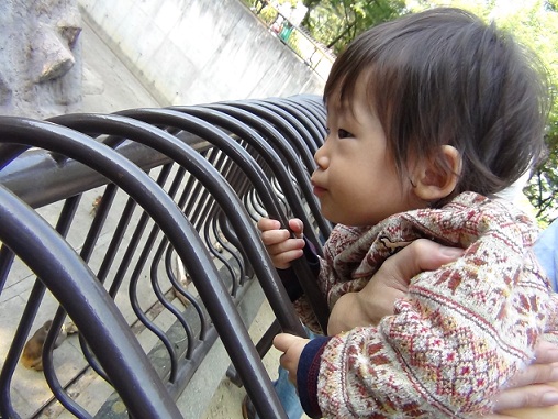 a0141366_21445425.jpg