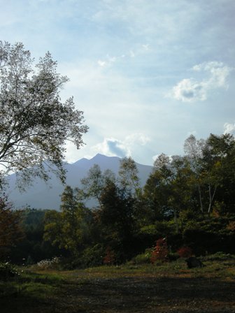 d0226767_191411.jpg