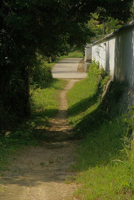 b0198768_17504286.jpg