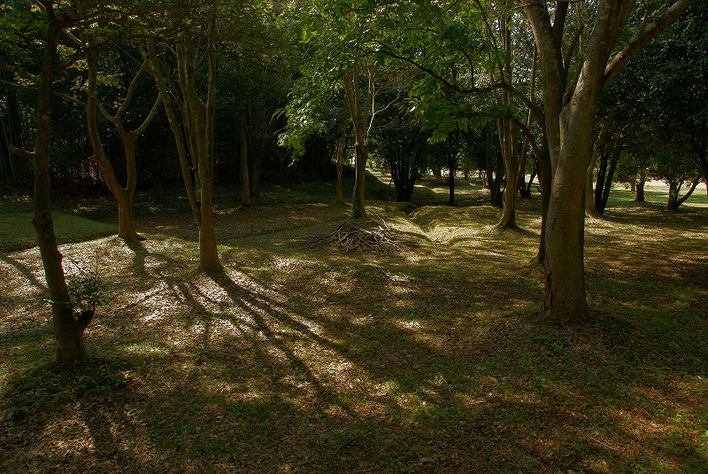 b0198768_17546100.jpg