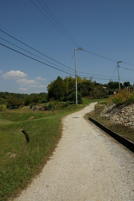 b0198768_1756551.jpg