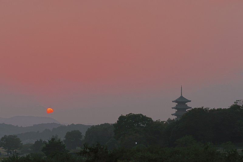 b0198768_1804659.jpg
