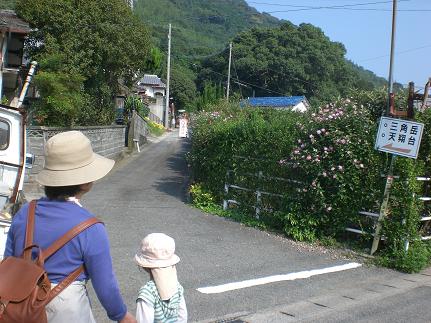 天翔台へ山登り_c0222471_21282089.jpg