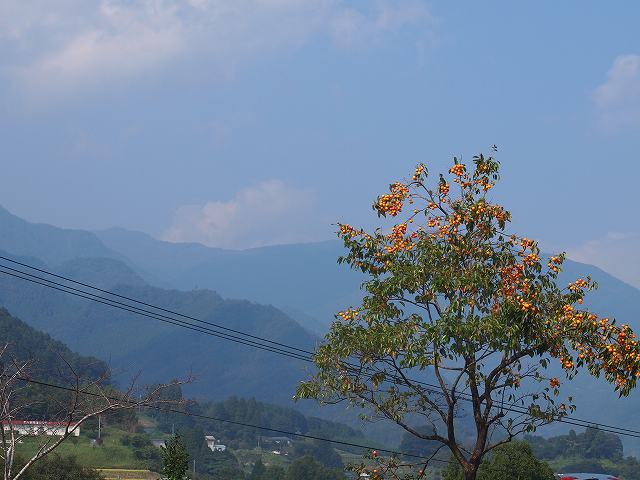 b0135573_10575688.jpg