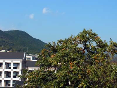 f0196374_7412813.jpg